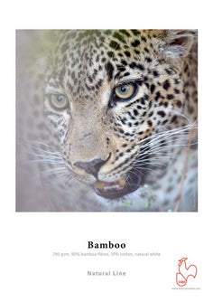 Papel Hahnemühle Bamboo 290grs