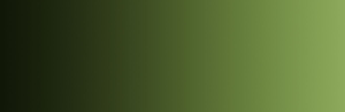 Fondo