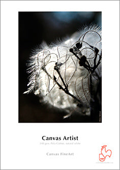Papel Hahnemühle Canvas Artist 340grs