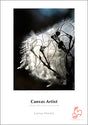 Papel Hahnemühle Canvas Artist 340grs