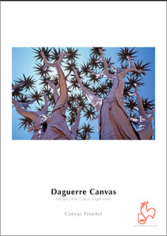 Papel Hahnemühle Daguerre Canvas 400grs