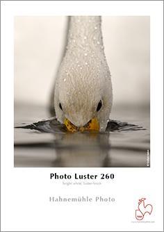 Papel Hahnemühle Photo Luster 290grs