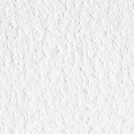 Papel Canson Infinity Edition Etching Rag 310grs