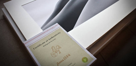 Hahnemühle Certificados de Autenticidad