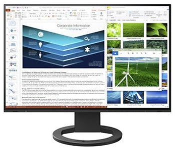 Monitor Eizo FlexScan EV2485