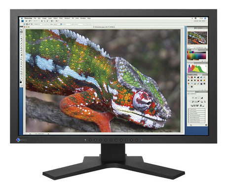 Monitor Eizo FlexScan S1934H